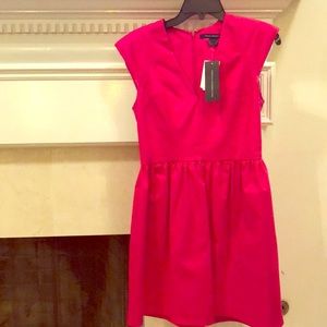 French Connection Pink Raspberry Fit & Flare Dress